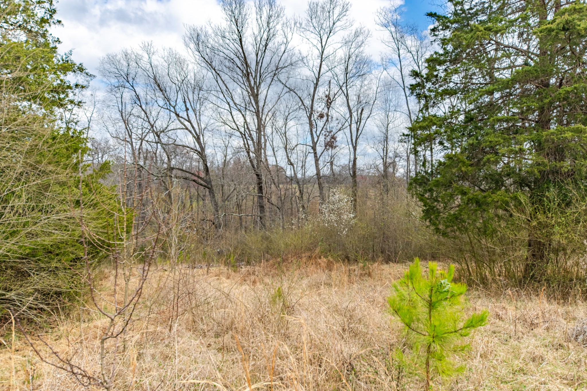 24 Busby Road Loretto, TN 38469 - Photo 40 of 65