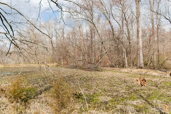 a view of a dry yard with trees in the background
