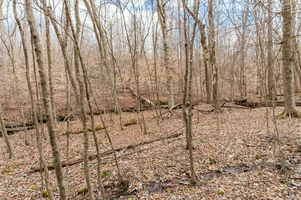 a view of a lake view and mountain view