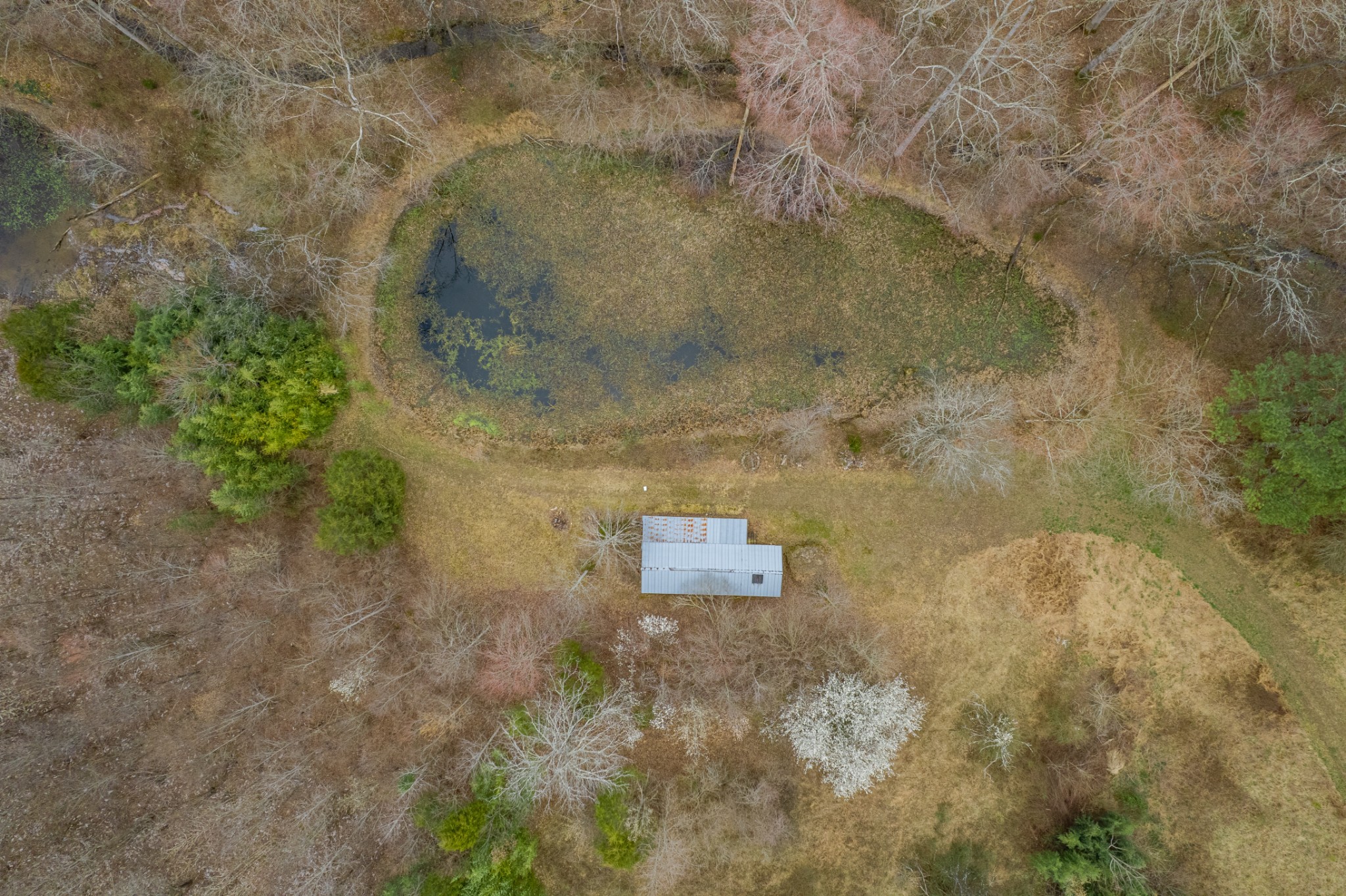 24 Busby Road Loretto, TN 38469 - Photo 46 of 65