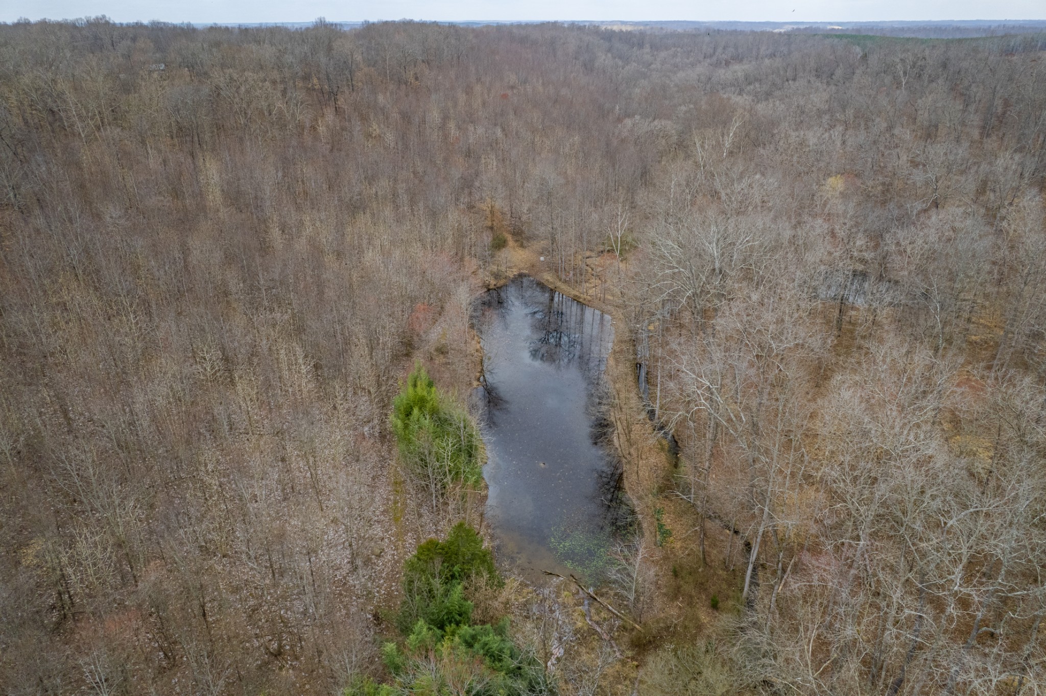 24 Busby Road Loretto, TN 38469 - Photo 49 of 65