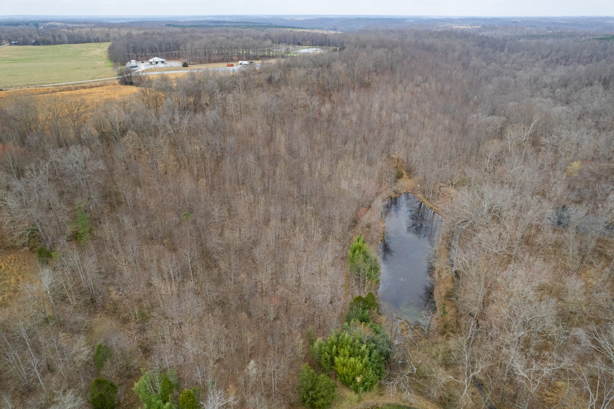 24 Busby Road Loretto, TN 38469 - Photo 50 of 65