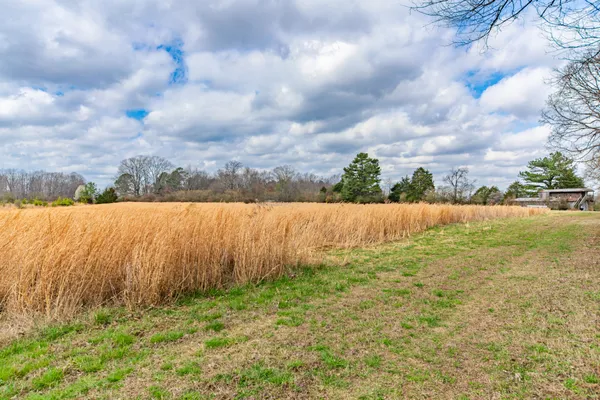 a view of lot of road and trees