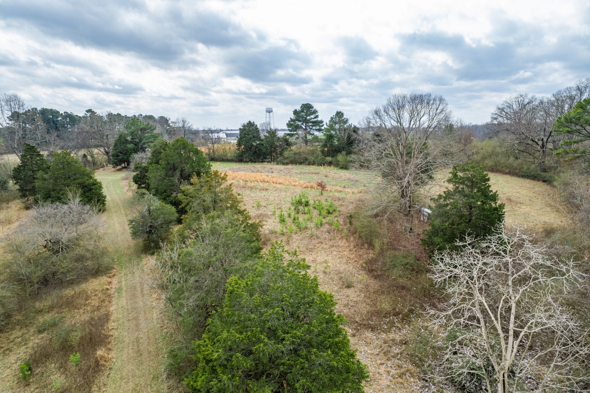 24 Busby Road Loretto, TN 38469 - Photo 53 of 65
