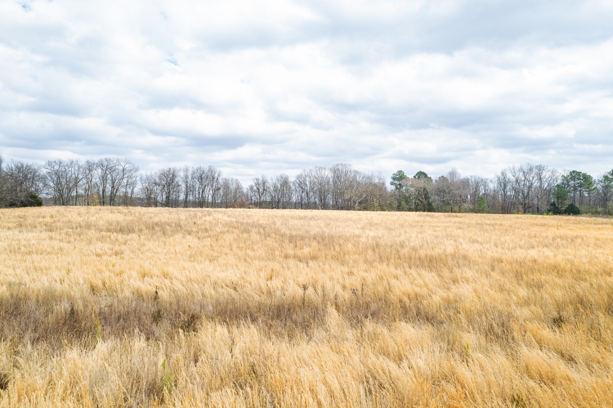 24 Busby Road Loretto, TN 38469 - Photo 6 of 65