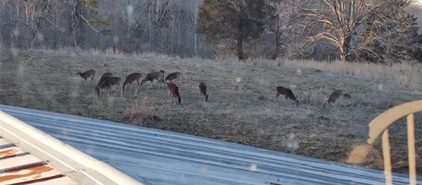 $625,000 | 24 Busby Road, Loretto, TN 38469