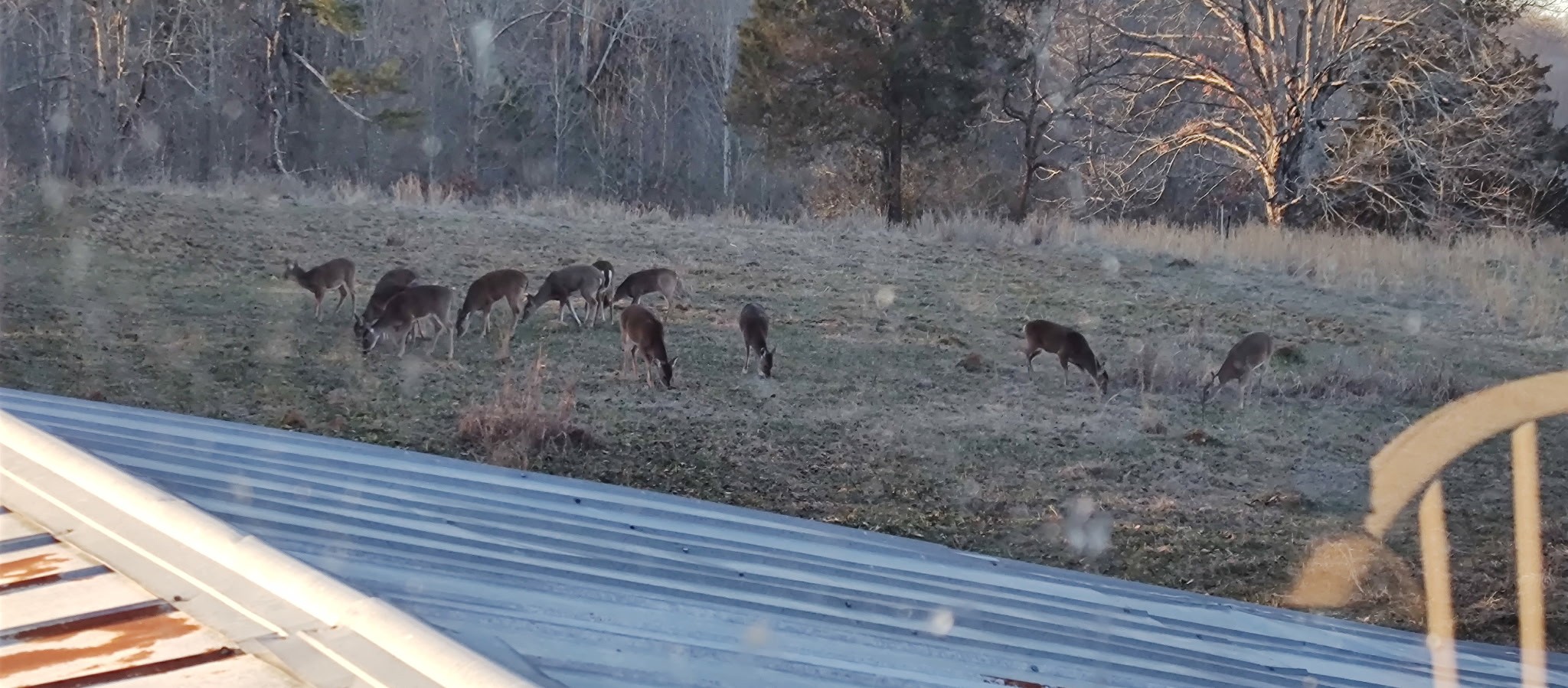 24 Busby Road Loretto, TN 38469 - Photo 61 of 65