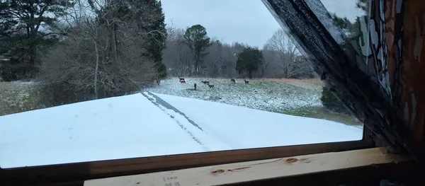 $625,000 | 24 Busby Road, Loretto, TN 38469