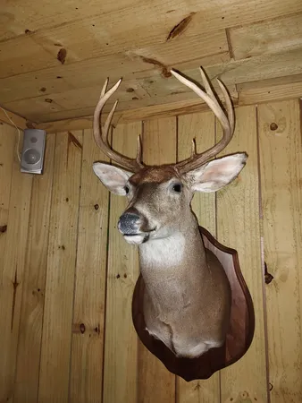 $625,000 | 24 Busby Road, Loretto, TN 38469