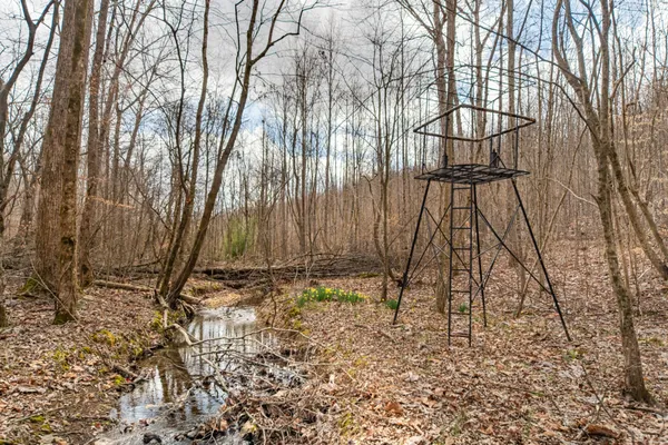 a view of a dry yard