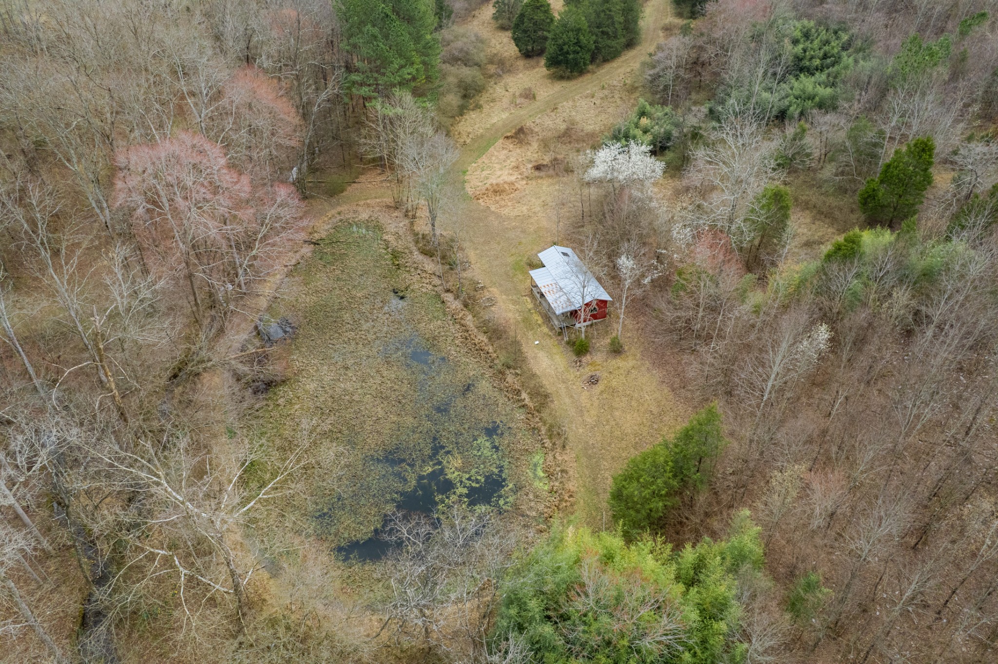 24 Busby Road Loretto, TN 38469 - Photo 10 of 65