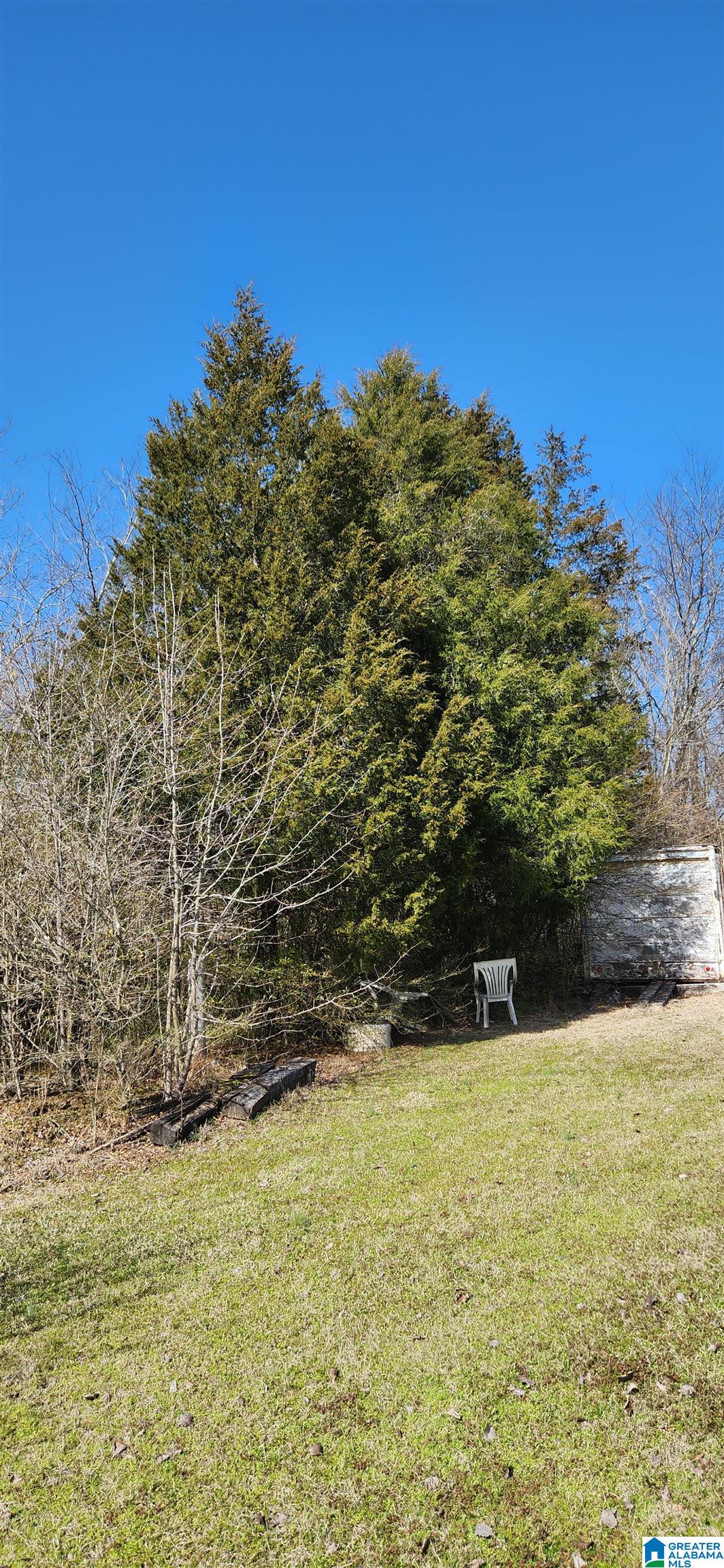 11103 Highway 144 Ragland, AL 35131 - Photo 27 of 31