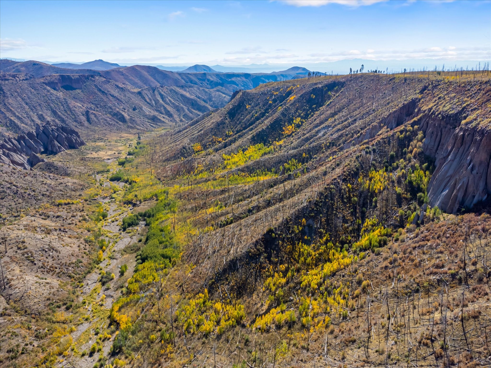 995 Forest Road, Unit 268 Jemez Springs, NM 87025 - Photo 10 of 24