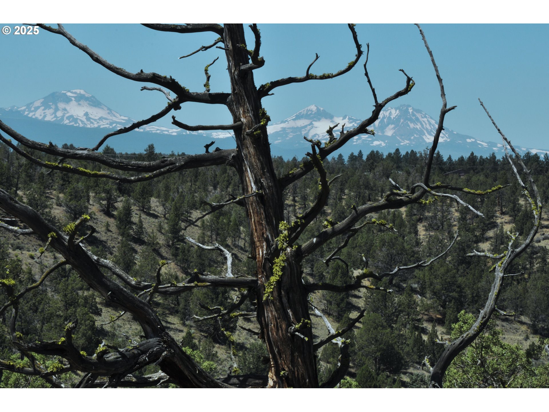 65255 Swalley Road Bend, OR 97703 - Photo 12 of 48 a view of a backyard