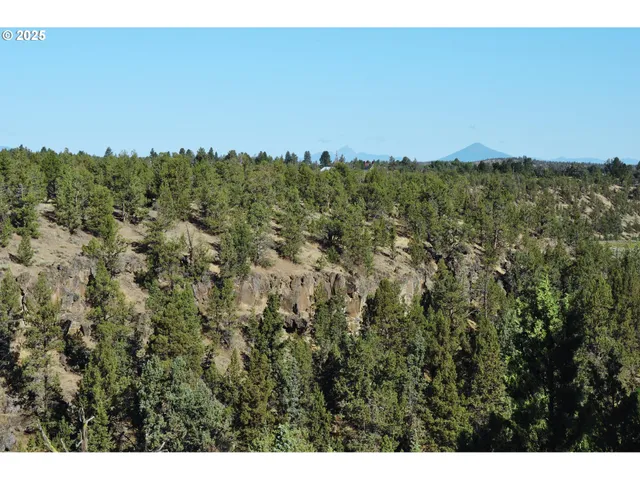 a view of a city with lush green forest
