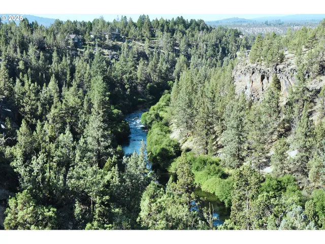 a view of a lush green forest with trees and some houses