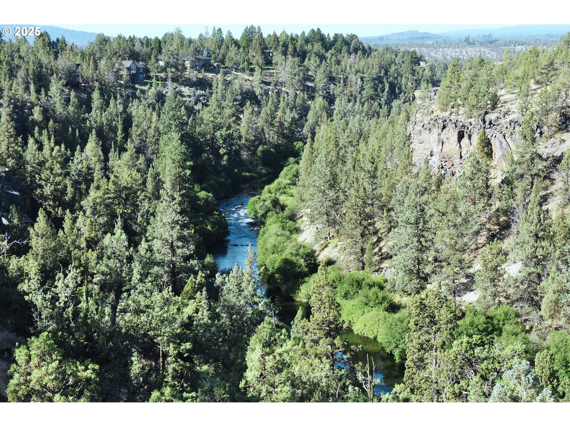 65255 Swalley Road Bend, OR 97703 - Photo 15 of 48 a view of a lush green forest with trees and some houses