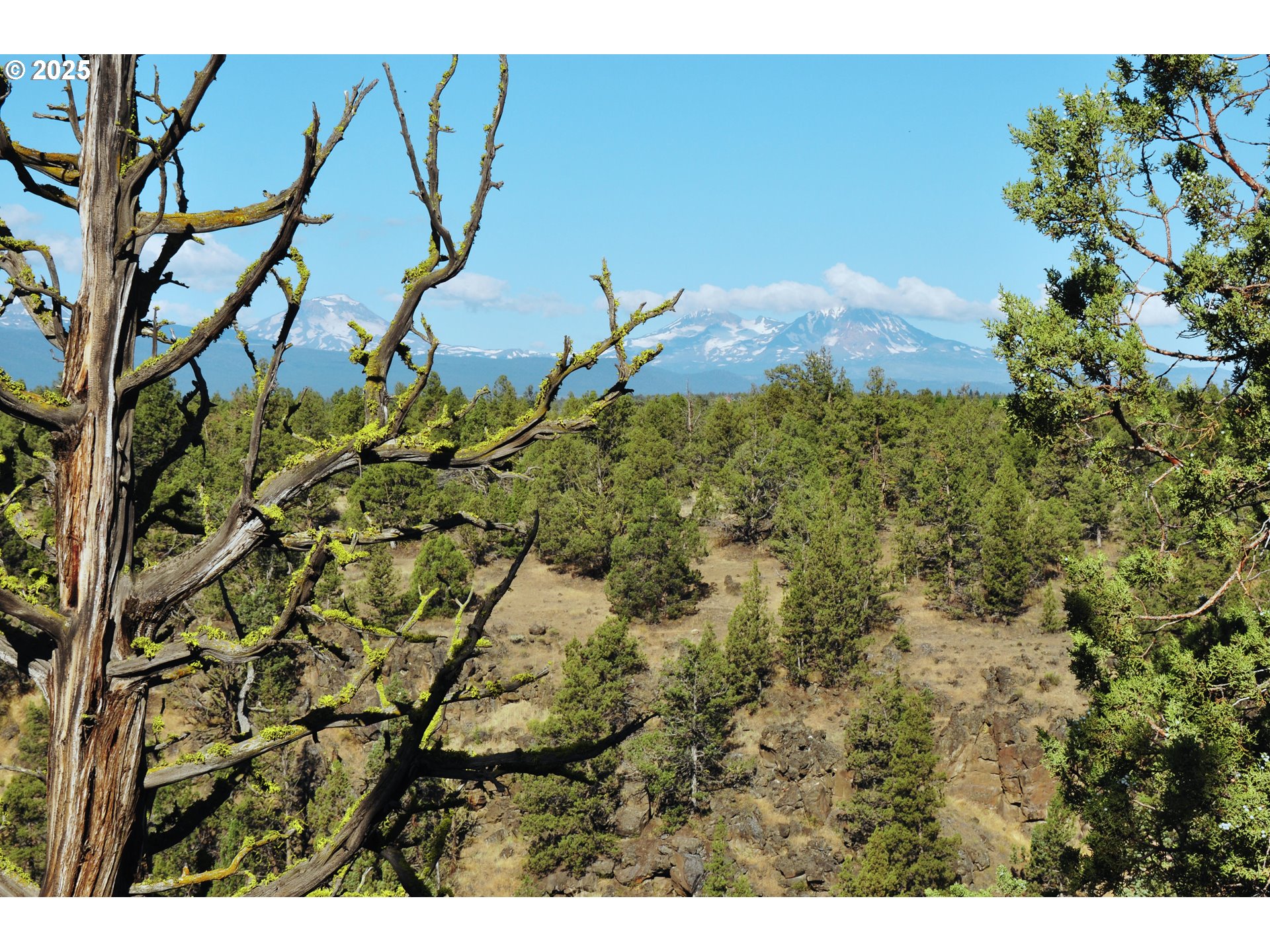 65255 Swalley Road Bend, OR 97703 - Photo 20 of 48 a bird view of location