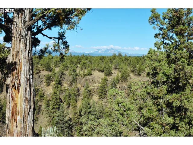 a view of a green yard