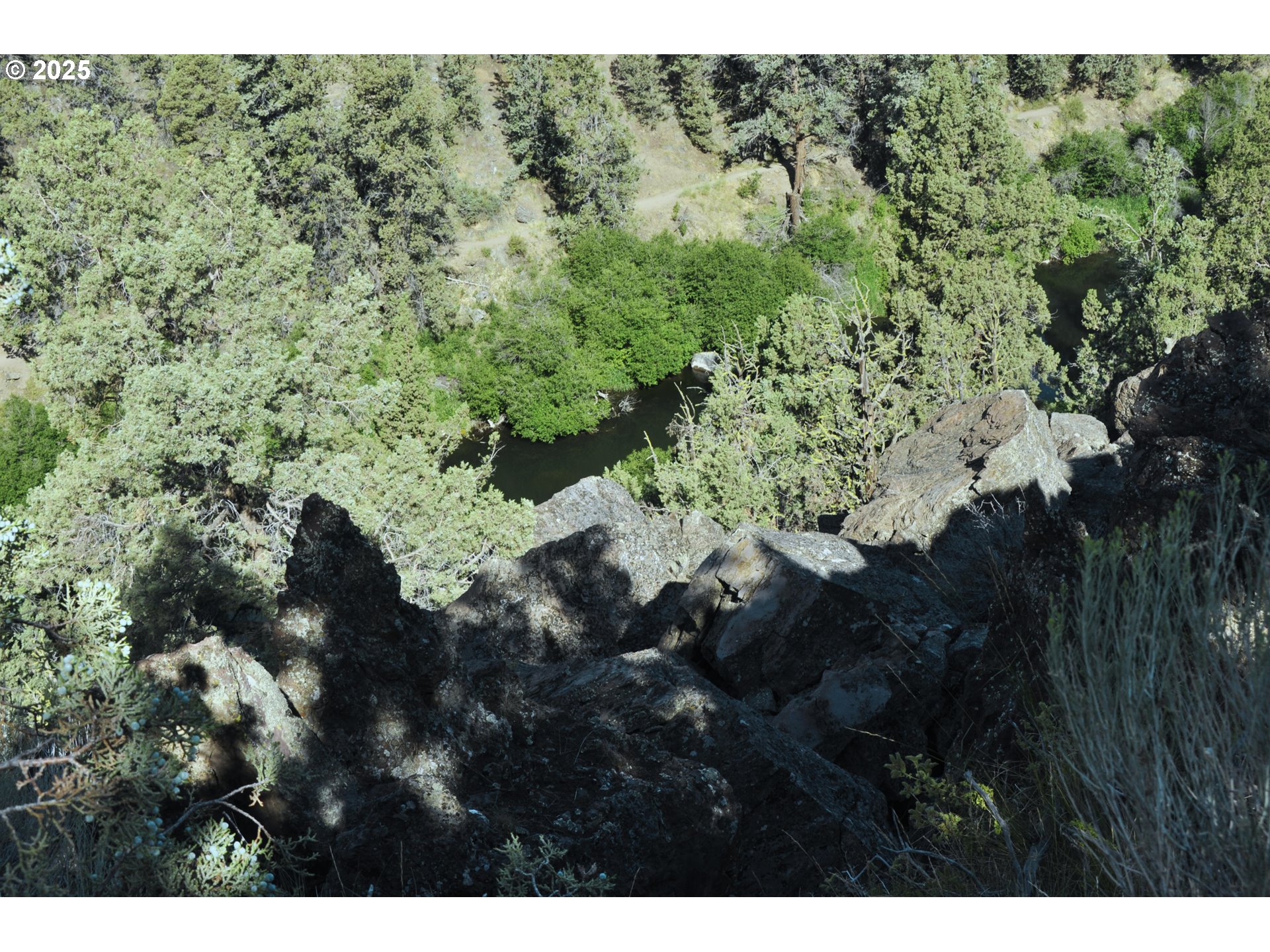 65255 Swalley Road Bend, OR 97703 - Photo 9 of 48 a view of a forest with a tree
