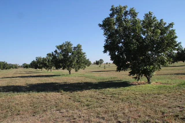 $150,000 | 602-608 East Joliet Street, Muleshoe, TX 79347