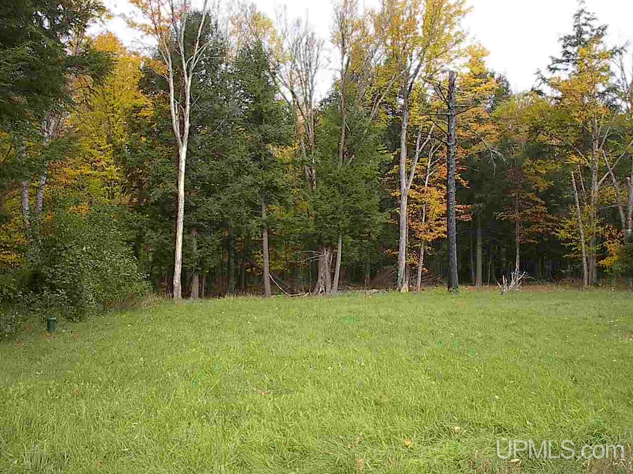 19043 Collins Road Lanse, MI 49946 - Photo 7 of 29 Gallery Image 7