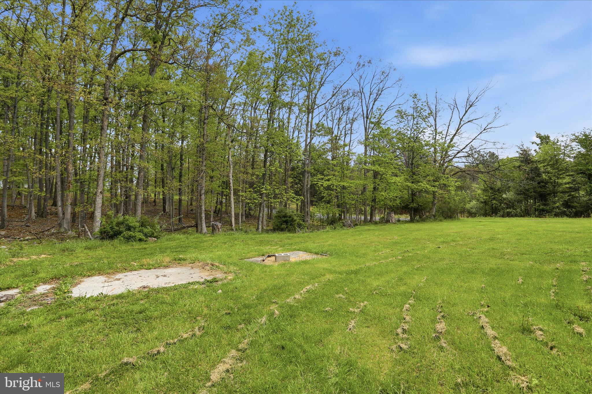 16118 Knobley Road Keyser, WV 26726 - Photo 43 of 54