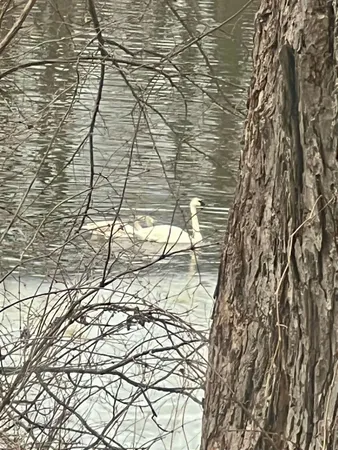 $329,900 | 851 County Highway North, Stoughton, WI 53589