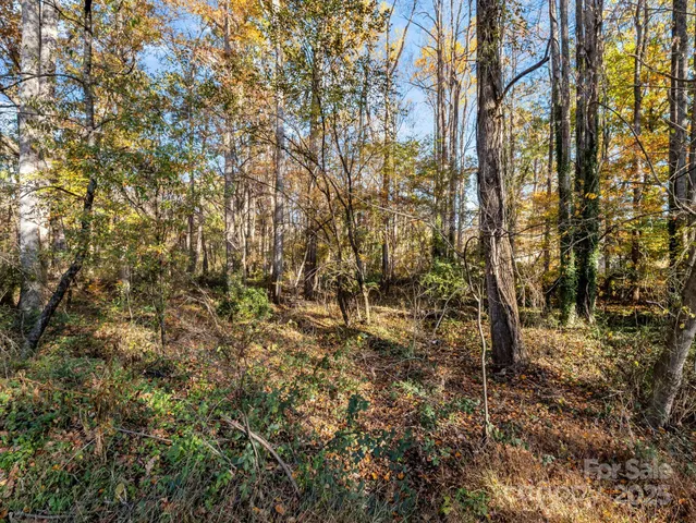 $42,000 | 0 East Homestead Avenue, Shelby, NC 28152