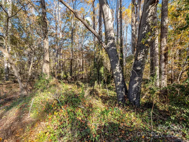 $42,000 | 0 East Homestead Avenue, Shelby, NC 28152