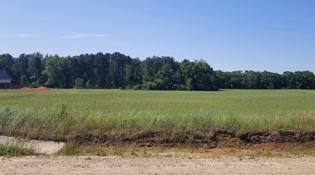 7-acres Hardy Road Dothan, AL 36301 - Photo 7 of 8