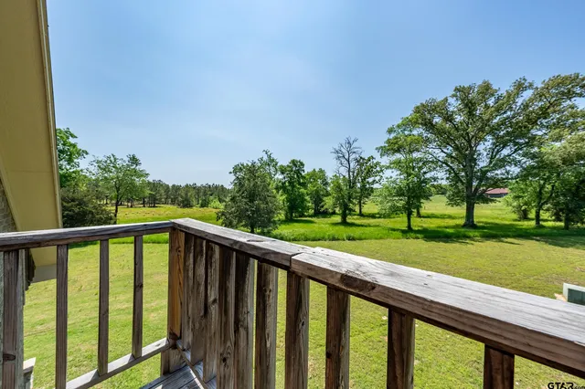 a view of trees and a yard with large trees