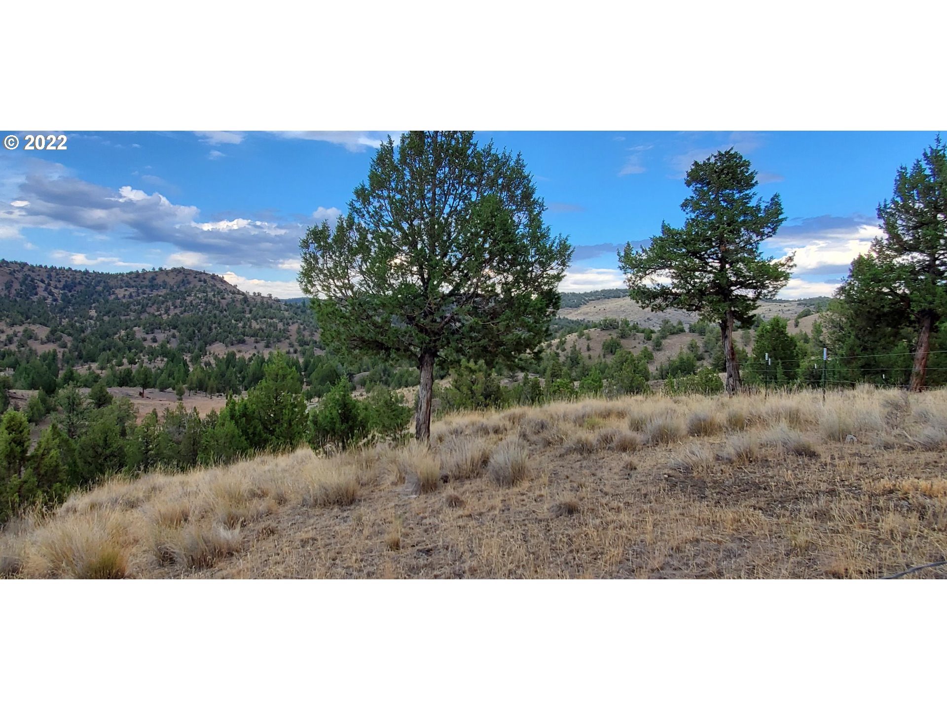 18990 Southeast Doubtful Dirt Road Prineville, OR 97754 - Photo 20 of 32 a view of a yard