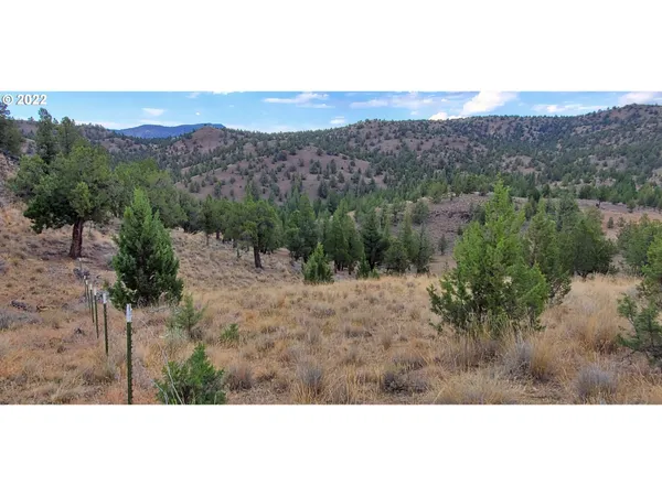 a view of outdoor space and mountain view