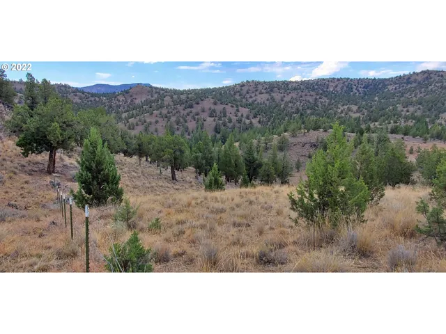 a view of outdoor space and mountain view