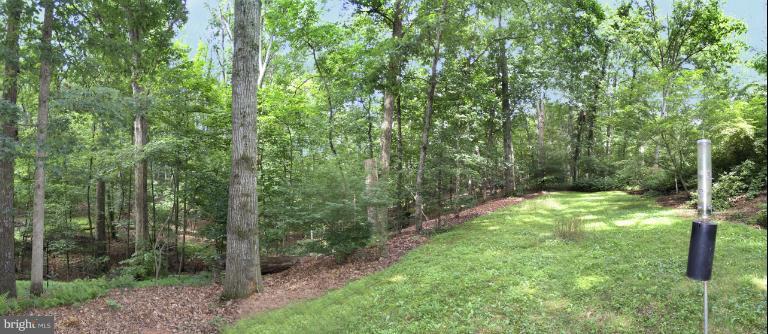 2524 Leeds Road Oakton, VA 22124 - Photo 19 of 30 Backyard