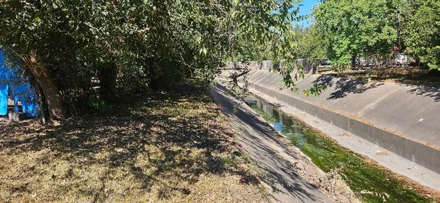 a view of a pathway with a yard