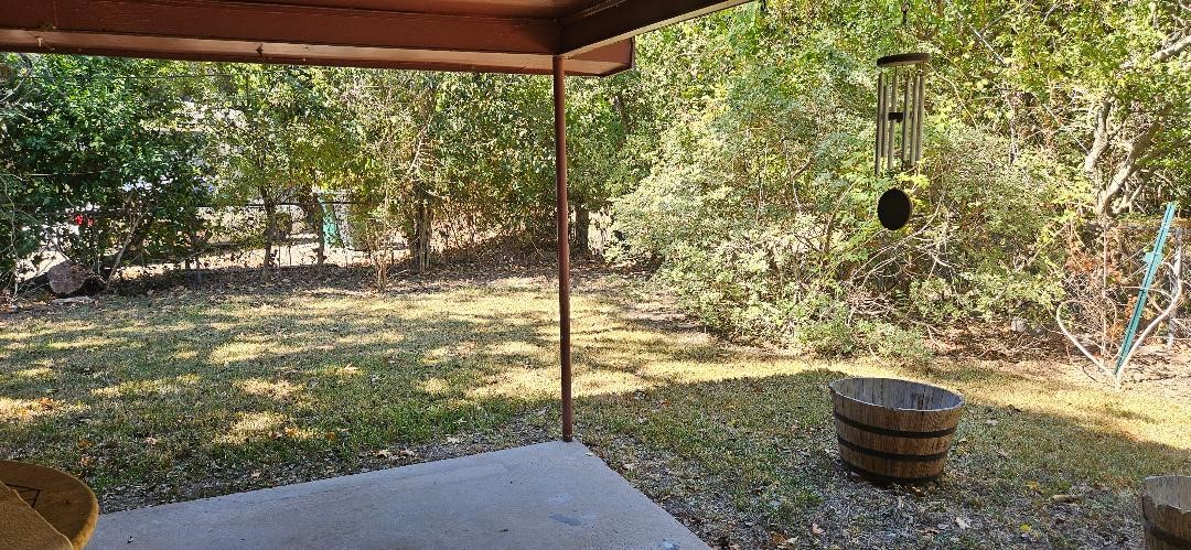 146 Hohldale Street Houston, TX 77022 - Photo 30 of 31 a view of a porch with a tree and a potted plant
