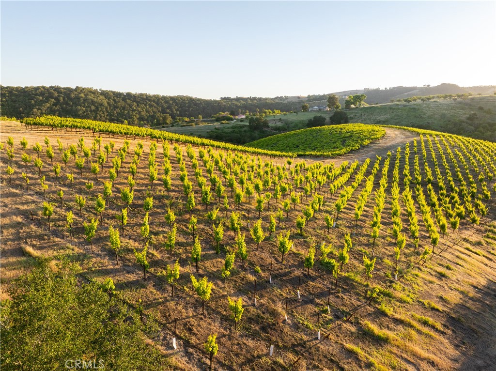 2762 Adelaida Road Paso Robles, CA 93446 - Photo 32 of 57