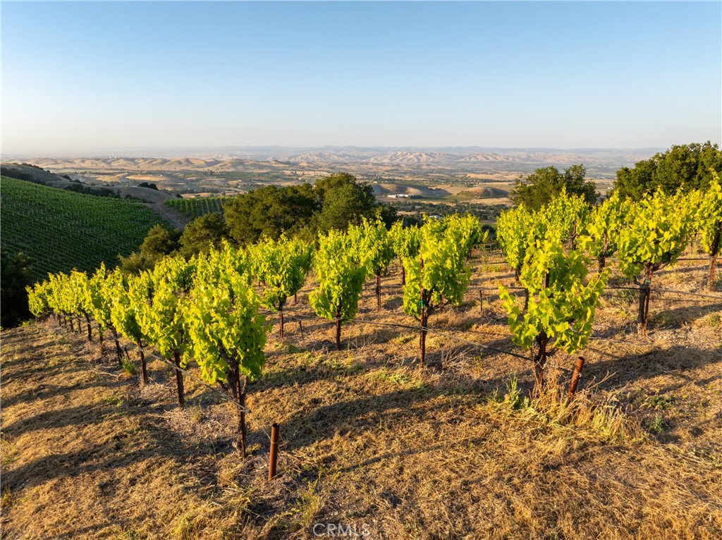 2762 Adelaida Road Paso Robles, CA 93446 - Photo 35 of 57 a view of a city