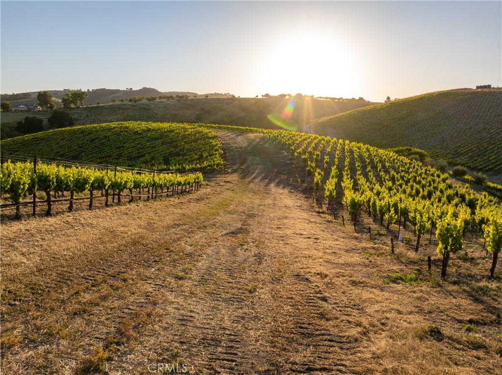 2762 Adelaida Road Paso Robles, CA 93446 - Photo 36 of 57 a view of an ocean with mountain view