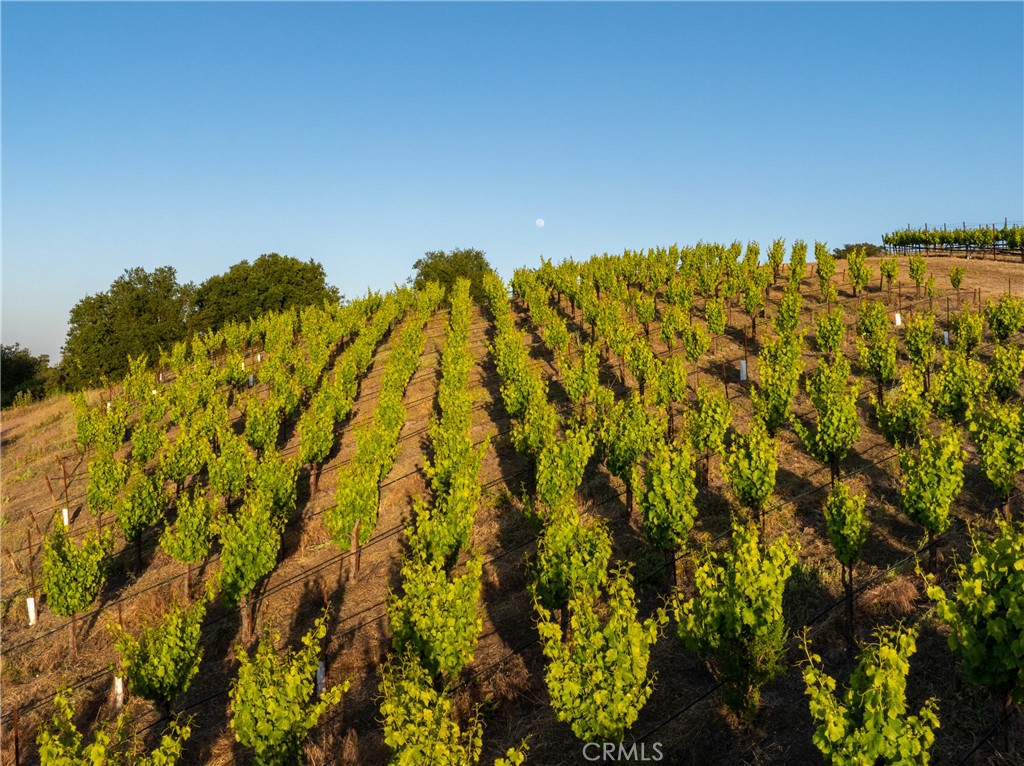 2762 Adelaida Road Paso Robles, CA 93446 - Photo 38 of 57 a view of a city