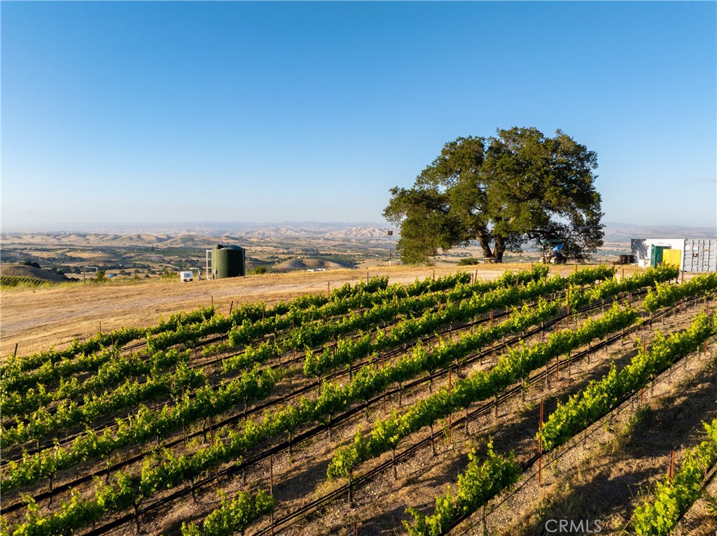 2762 Adelaida Road Paso Robles, CA 93446 - Photo 4 of 57 a view of an ocean