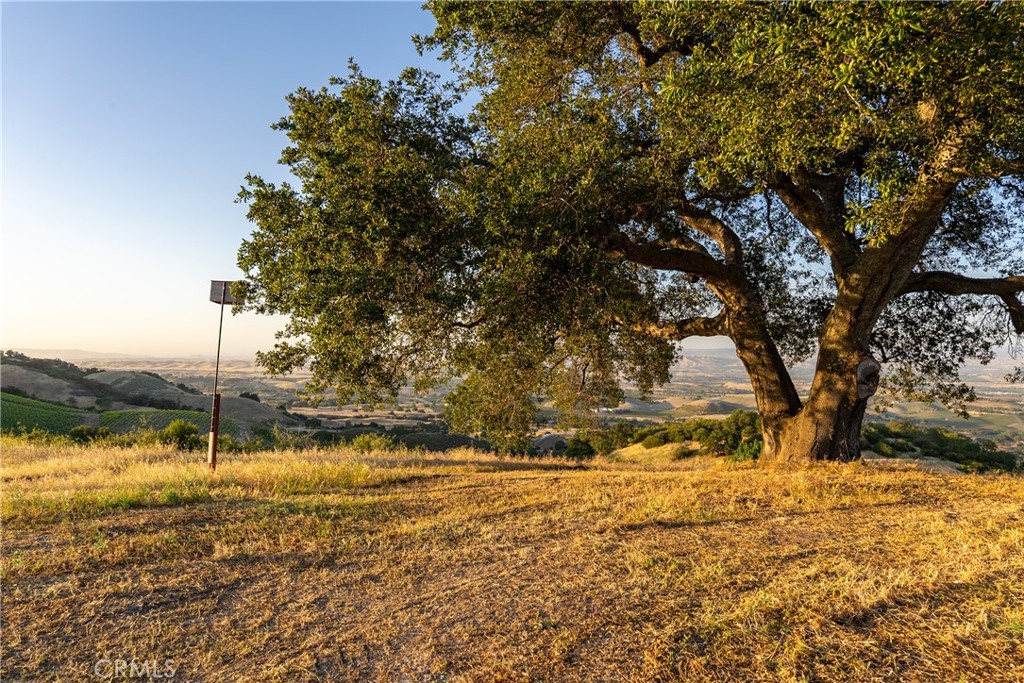 2762 Adelaida Road Paso Robles, CA 93446 - Photo 41 of 57 a view of yard with trees