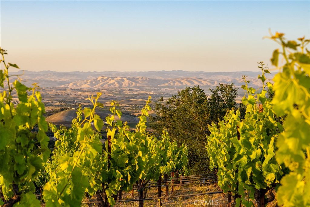 2762 Adelaida Road Paso Robles, CA 93446 - Photo 46 of 57 a view of a city