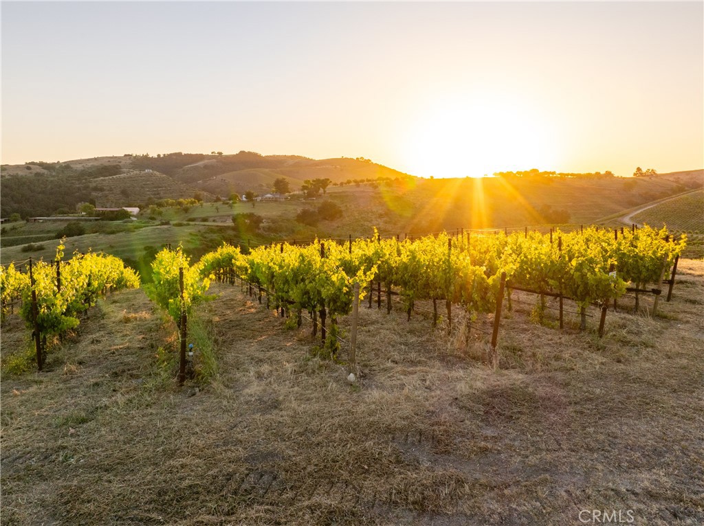 2762 Adelaida Road Paso Robles, CA 93446 - Photo 50 of 57 a view of an outdoor space with mountain view