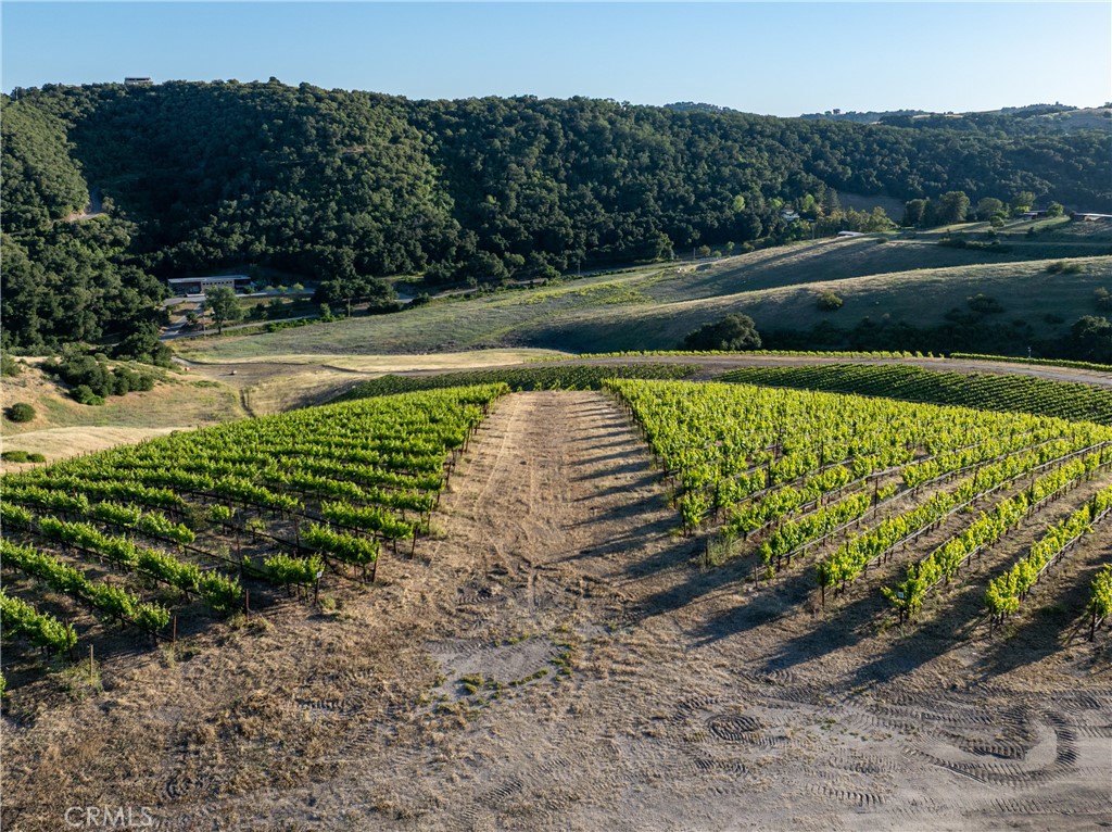 2762 Adelaida Road Paso Robles, CA 93446 - Photo 8 of 57 a view of a pathway with a bench