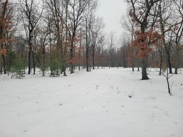 $115,000 | 2155 East County Line Road, Free Soil, MI 49411