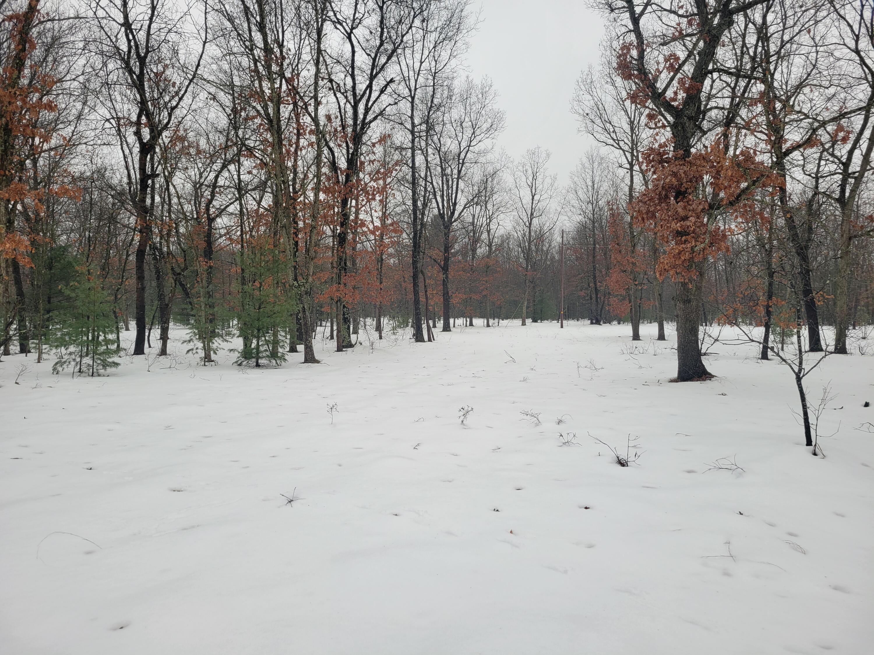 2155 East County Line Road Free Soil, MI 49411 - Photo 1 of 15 20251228_123831