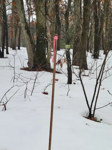 $115,000 | 2155 East County Line Road, Free Soil, MI 49411